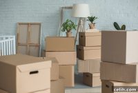 Simplify Your Move: Top 5 UK Removal Van Companies