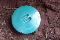 Unleashing the Truth About the Clean Green Dog Loo