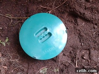 featured 13722