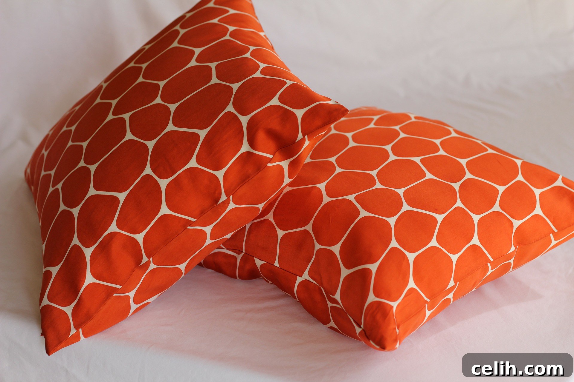 featured 15411