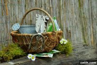 Spring into Action: Garden Projects & Blog Carnival
