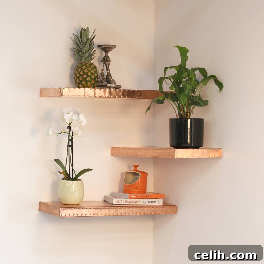 featured 16208