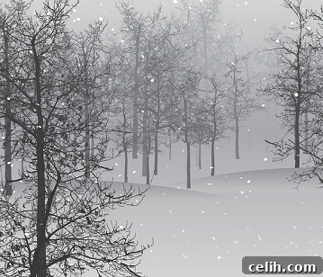 featured 16926