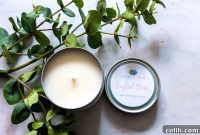 Harley and Lola Candles Freshen Your Home
