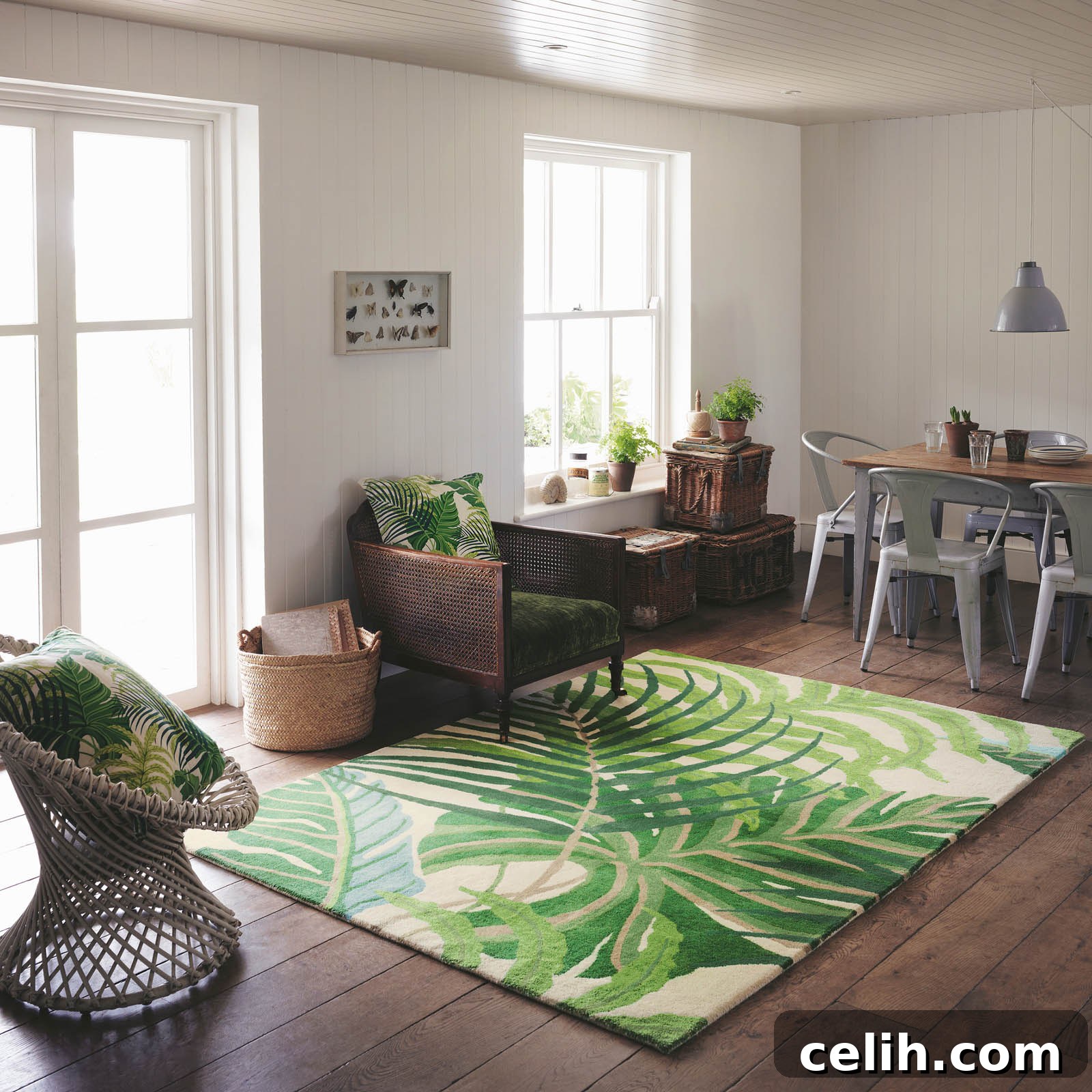 featured 17372
