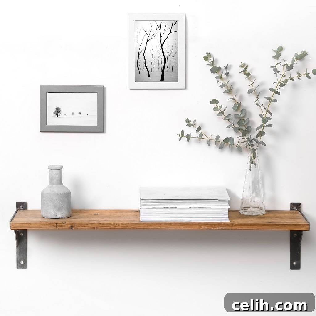 featured 17593