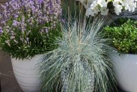 Cultivate Your Own Fragrant Container Oasis