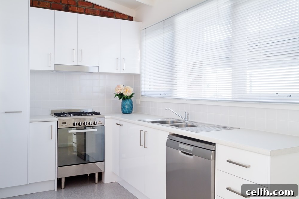 featured 17856