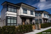 Privacy Perfected Exploring Top Window Blackout Solutions