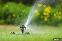 Is Your Property Underprotected The Case for Advanced Sprinkler Systems