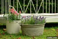 Redefining Container Gardening Compact Elegance