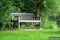 Garden Benches: Save or Splurge? Your Ultimate Buying Guide