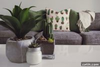 Small Living Rooms Big Style