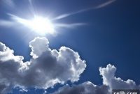Keep Your Cool: Simple Strategies for a Refreshing Home