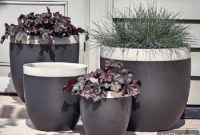 Curated Collection 10 Contemporary Planters for Your Outdoor Oasis