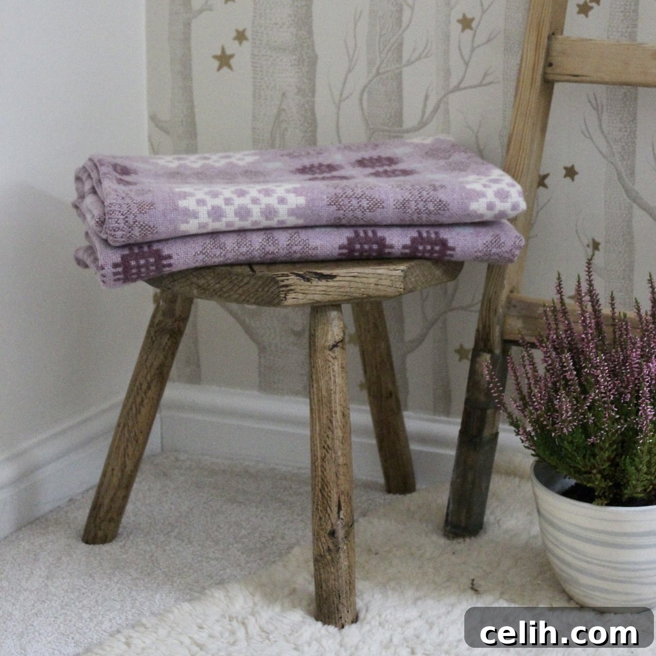 featured 21733
