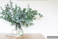 Illuminate Your Home with Scent and Style