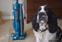 Hoover H-UPRIGHT 500 Reach Home Vacuum Cleaner In-Depth Review