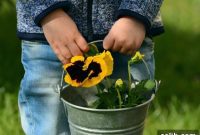 Outdoor Fun for Little Explorers