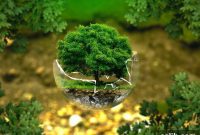 Embrace Organic September: 10 Sustainable Home Essentials