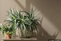 Inspiring Ideas for Dulux Brave Ground 2021 Colour of the Year in Your Home