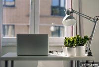 Crafting Your Ultimate Home Office Setup