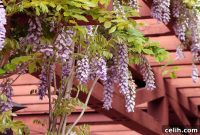 Outdoor Living All Year Long