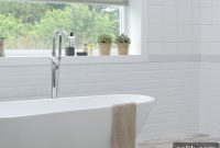 Banish Mould: Your Comprehensive Guide to a Healthy Home