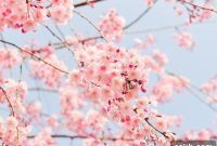 Rejuvenate Your Space: 10 Spring Interior Touches