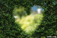 Smart Garden Upgrades: 8 Essential Questions to Ask First