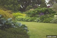 7 Stunning Backyard Transformations