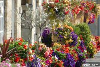 8 Smart Tips for an Effortless Garden Oasis
