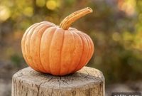 Spooktacular Success Your Guide to the Ultimate Halloween Bash