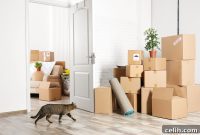 Seamless Cross-Country Relocation: Fast, Secure, and Stress-Free
