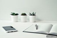 5 Ways To Make January Your Best Indoor Month