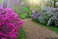 Britain’s Spectacular Rhododendron Havens