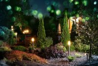Your Backyard, Reimagined