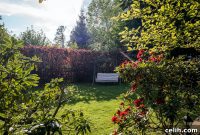 Garden Trees: Green Gold or Green Grief
