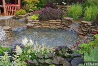 Pond Edging Ideas: Rustic Charm to Polished Perfection