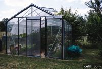 Your First Greenhouse: 4 Essential Tips for Beginners