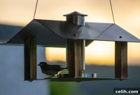Does Stainless Steel Reign Supreme for Outdoor Applications