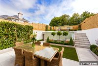 Unlock Your Backyard Potential