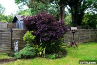 Beyond the Blooms: Elevating Your Landscape with Decorative Accents