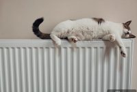 Radiators: The Ultimate Guide to Warmth and Efficiency