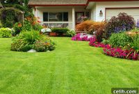 Cultivate a Stunning and Smart Outdoor Space