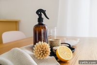 Botanical Home Cleaners You Can Make
