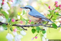 Spring Home Refresh: 5 Essential Prep Tips