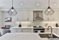 Upgrade Your Modern Kitchen: Stylish and Smart Solutions