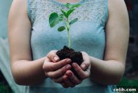 Planting Peace The Garden Path to Better Mental Health