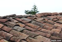 Roof Longevity Key Maintenance Strategies